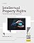 Intellectual Property Rights : Protection and Management