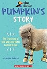 Pumpkin's Story
