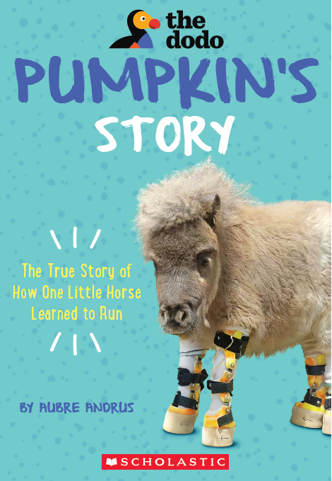 Pumpkin's Story (Paperback)