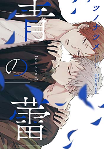 青の蕾 [Ao no Tsubomi] (Kindle Edition)
