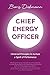 Chief Energy Officer: Universal Principles to nurture a Spirit of Performance