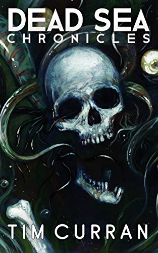 Dead Sea Chronicles (Kindle Edition)