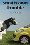 Small Town Trouble