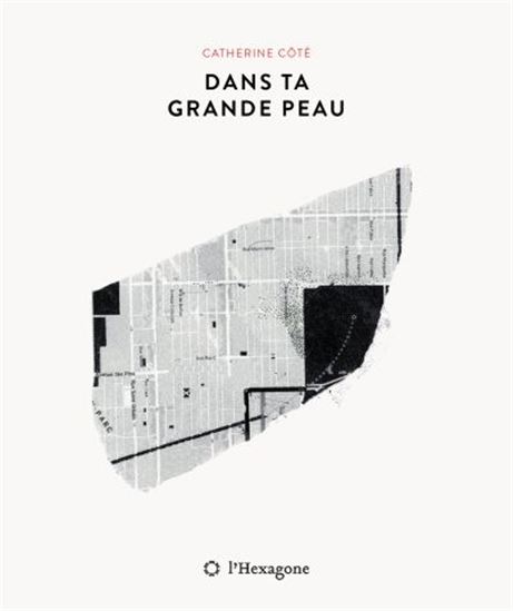 Dans ta grande peau (Paperback)