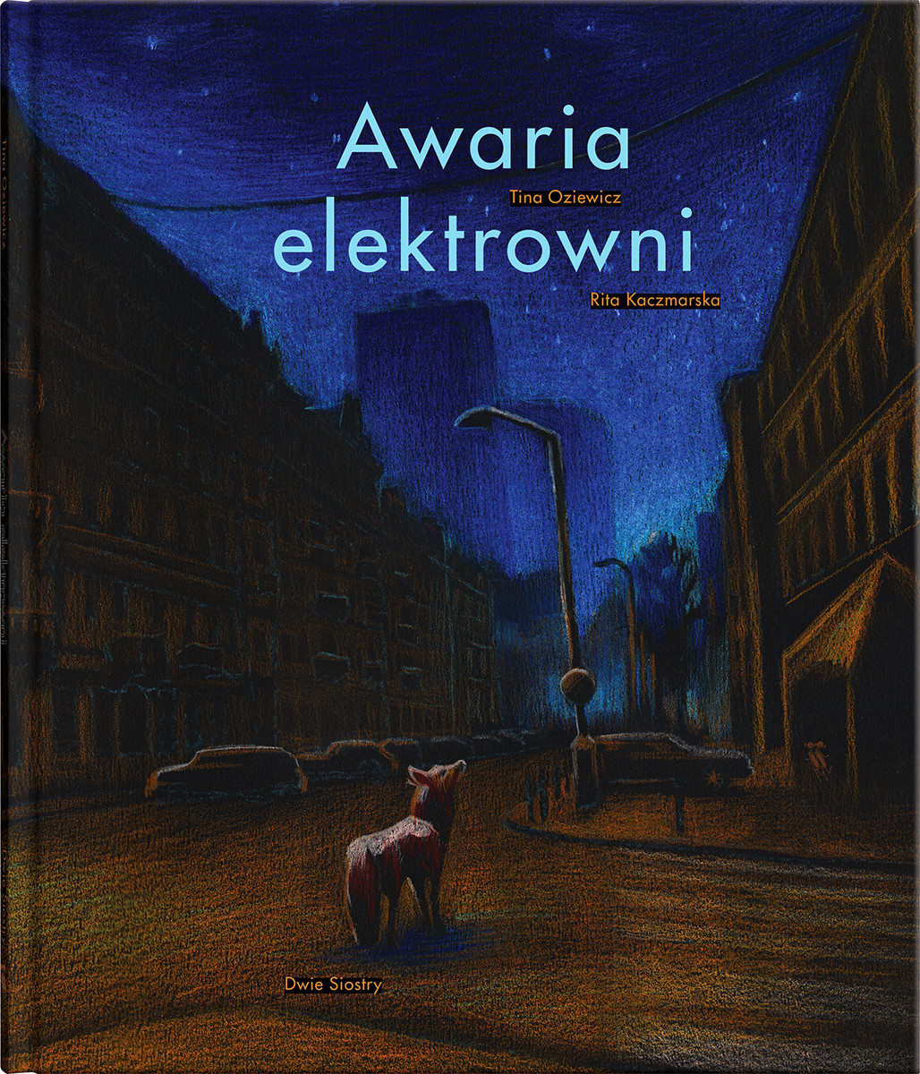 Awaria elektrowni (Hardcover)