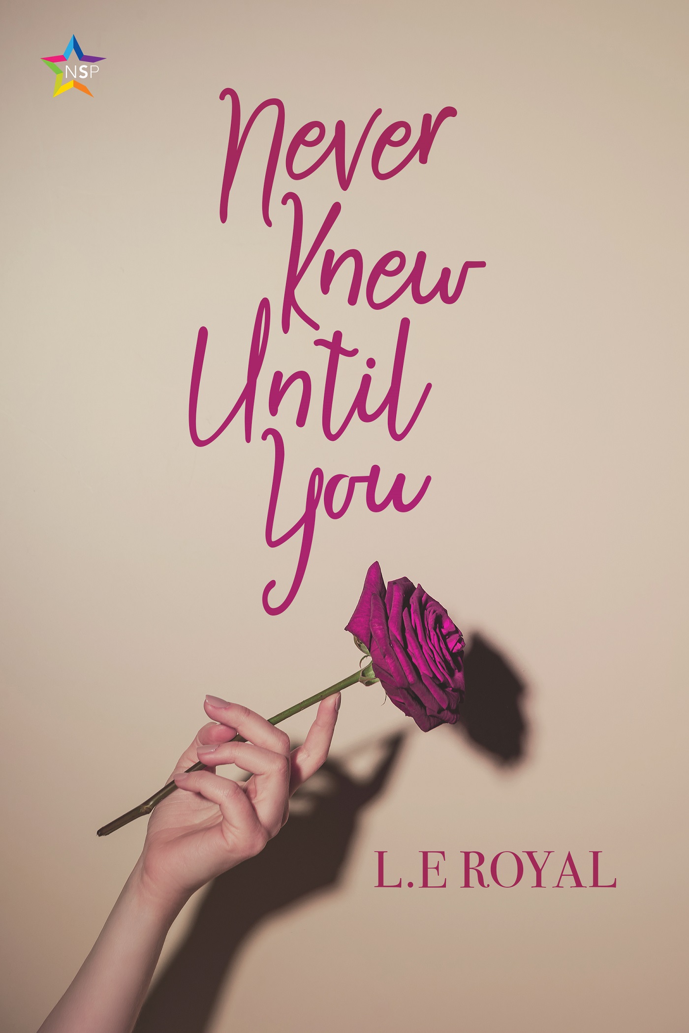 Never Knew Until You (ebook)