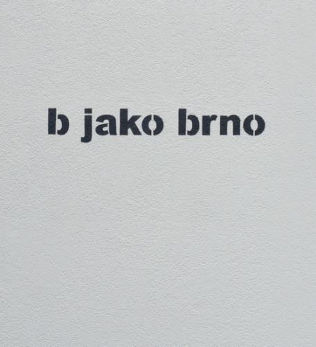 b jako brno (Hardcover)