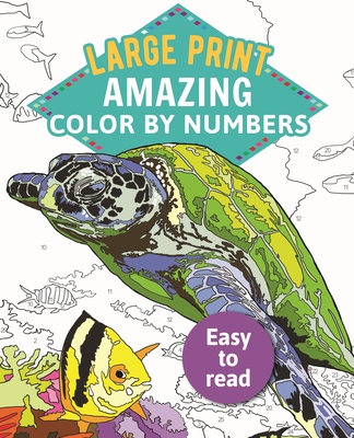 Amazing Color by Numbers Large Print (Sirius Large Print Color by Numbers Collection)