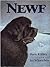 Newf by Marie Killilea
