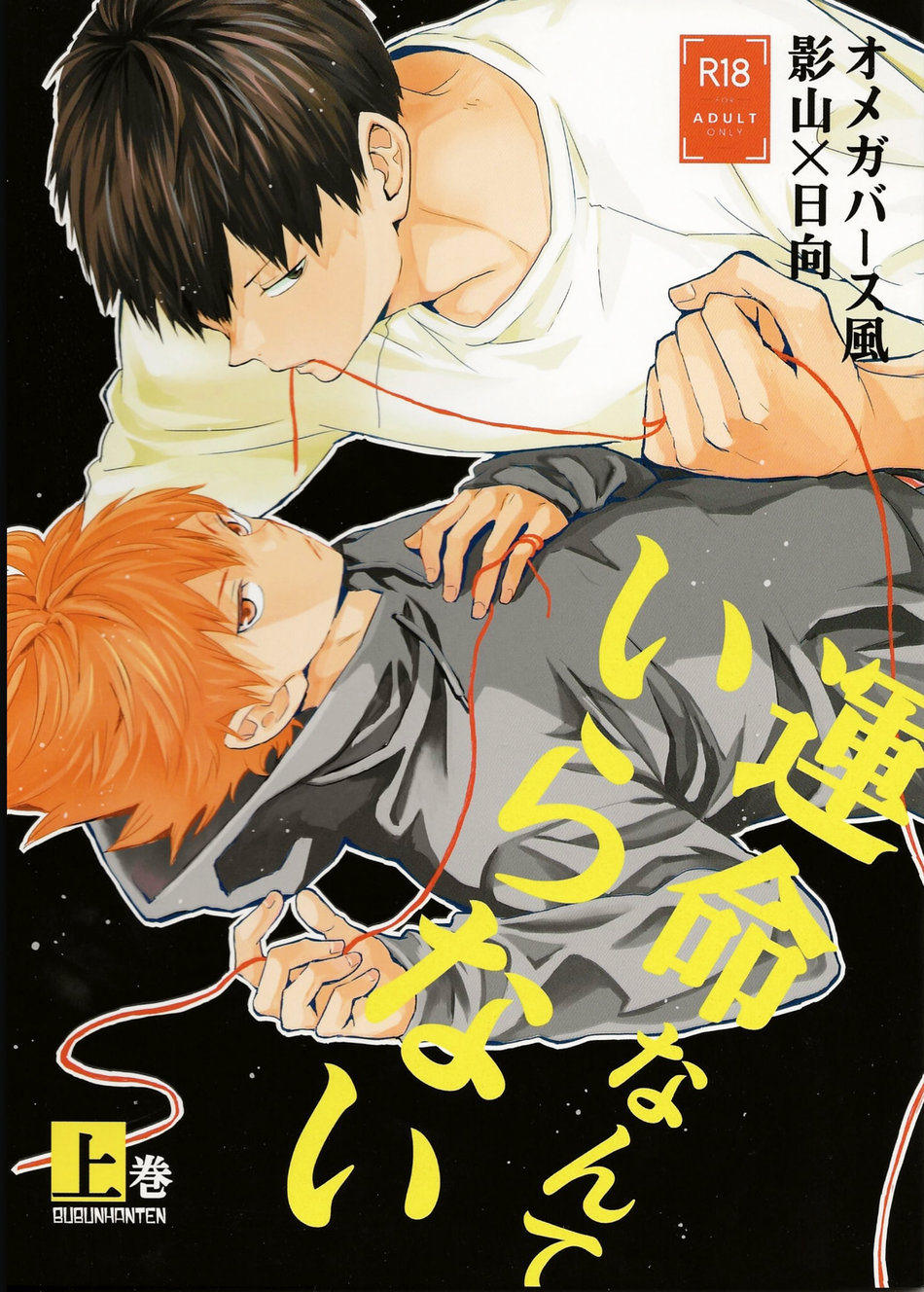 運命なんていらない-上巻 [Unmei nante iranai 1] (Unknown Binding)