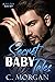 Secret Baby Tales Box Set by Chloe Morgan