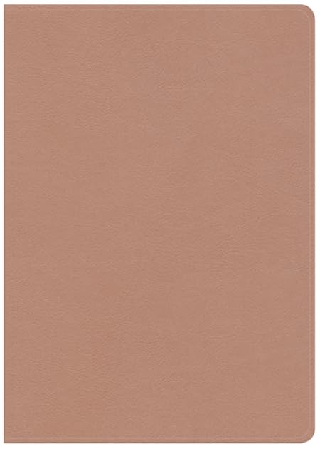 CSB She Reads Truth Bible