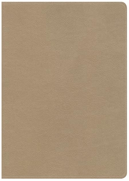 CSB She Reads Truth Bible, Champagne Gold LeatherTouch, Black Letter, Full-Color Design, Wide Margins, Journaling Space, Devotionals, Reading Plans, Single-Column, Easy-to-Read Bible Serif Type