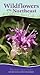 Wildflowers of the Northeas...