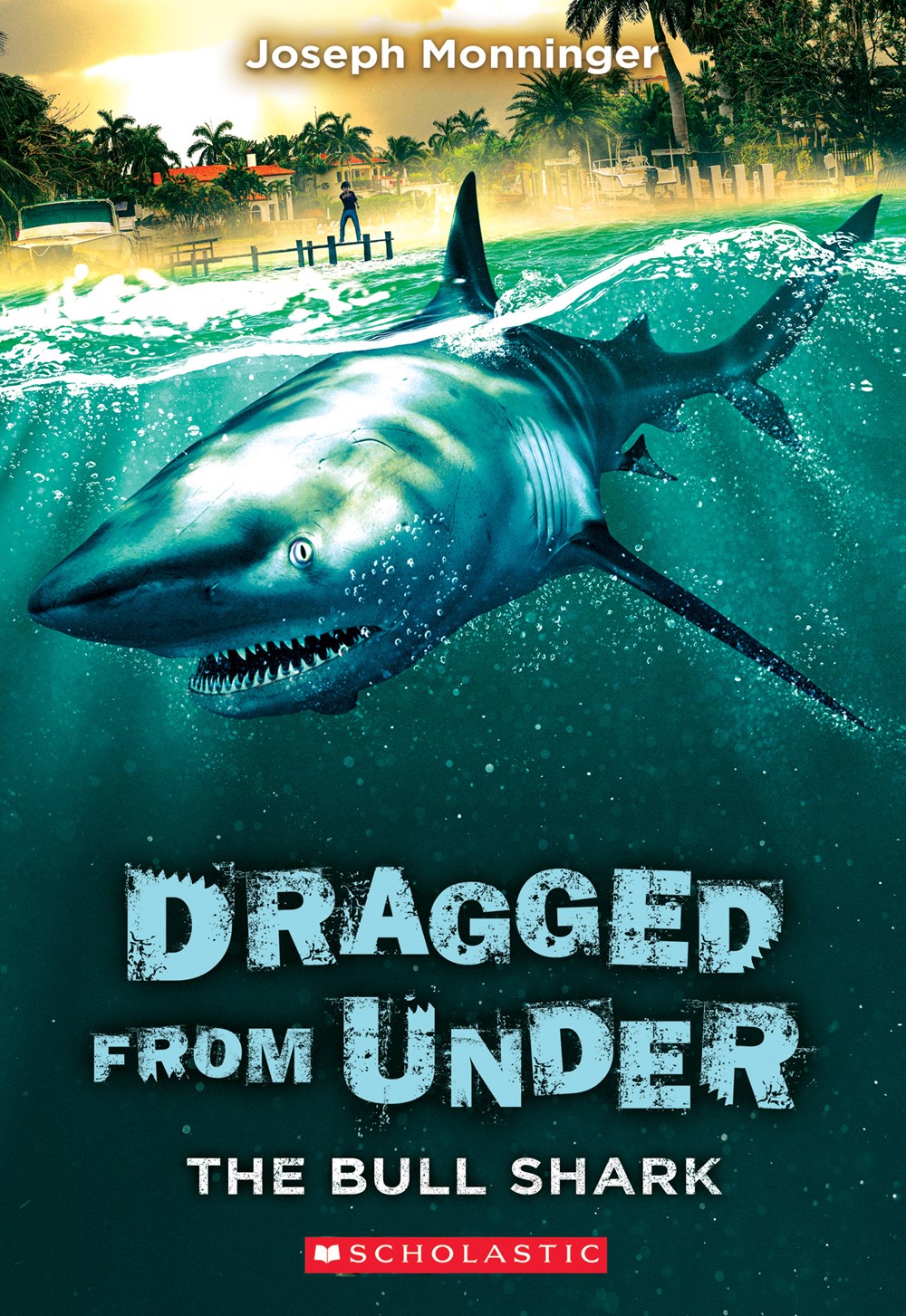 The Bull Shark (Dragged from Under #1)