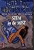 Stem in de mist (Miss Silver, #22)