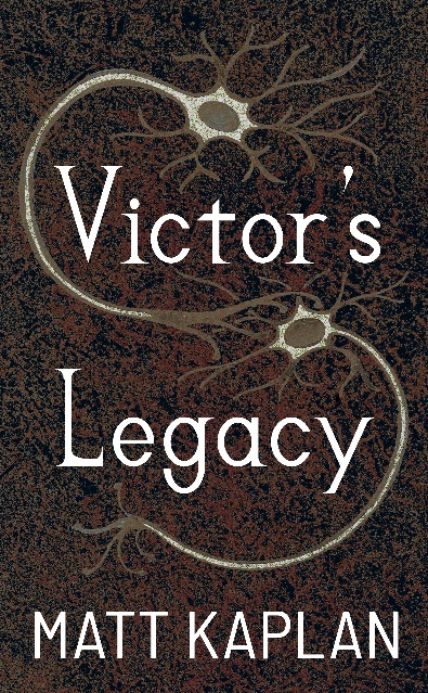 Victor's Legacy (Kindle Edition)