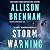 Storm Warning (Lucy Kincaid, #14.5)