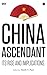China Ascendant: Its Rise and Implications