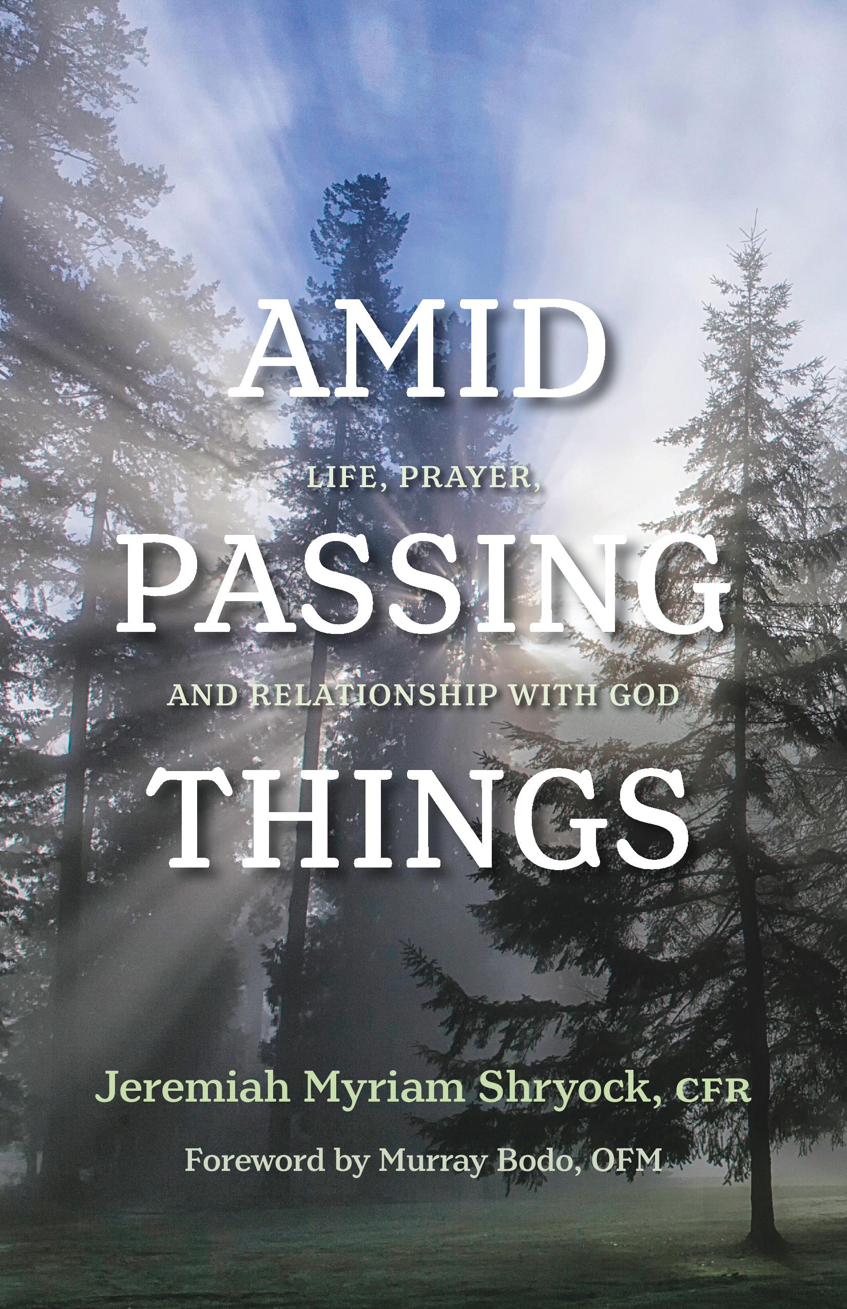 Amid Passing Things: Life, Prayer, and Relationship with God (Paperback)