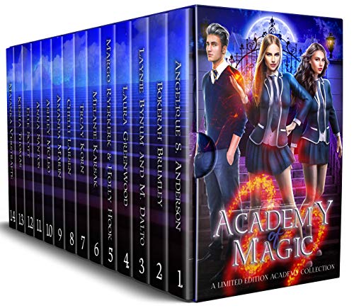 Academy of Magic (Kindle Edition)