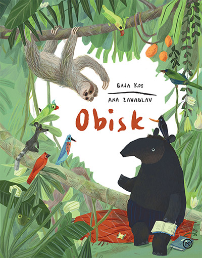 Obisk (Hardcover)