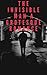 The Invisible Man A Grotesque Romance