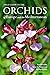 Field Guide to the Orchids of Europe and the Mediterranean