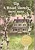 Up a Road Slowly by Irene Hunt