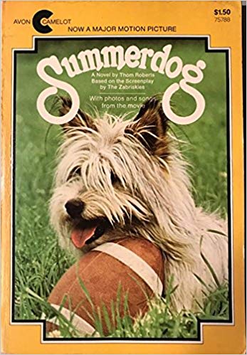 Summerdog (Paperback)