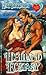 Highland Ecstasy (Heartfire Romance)