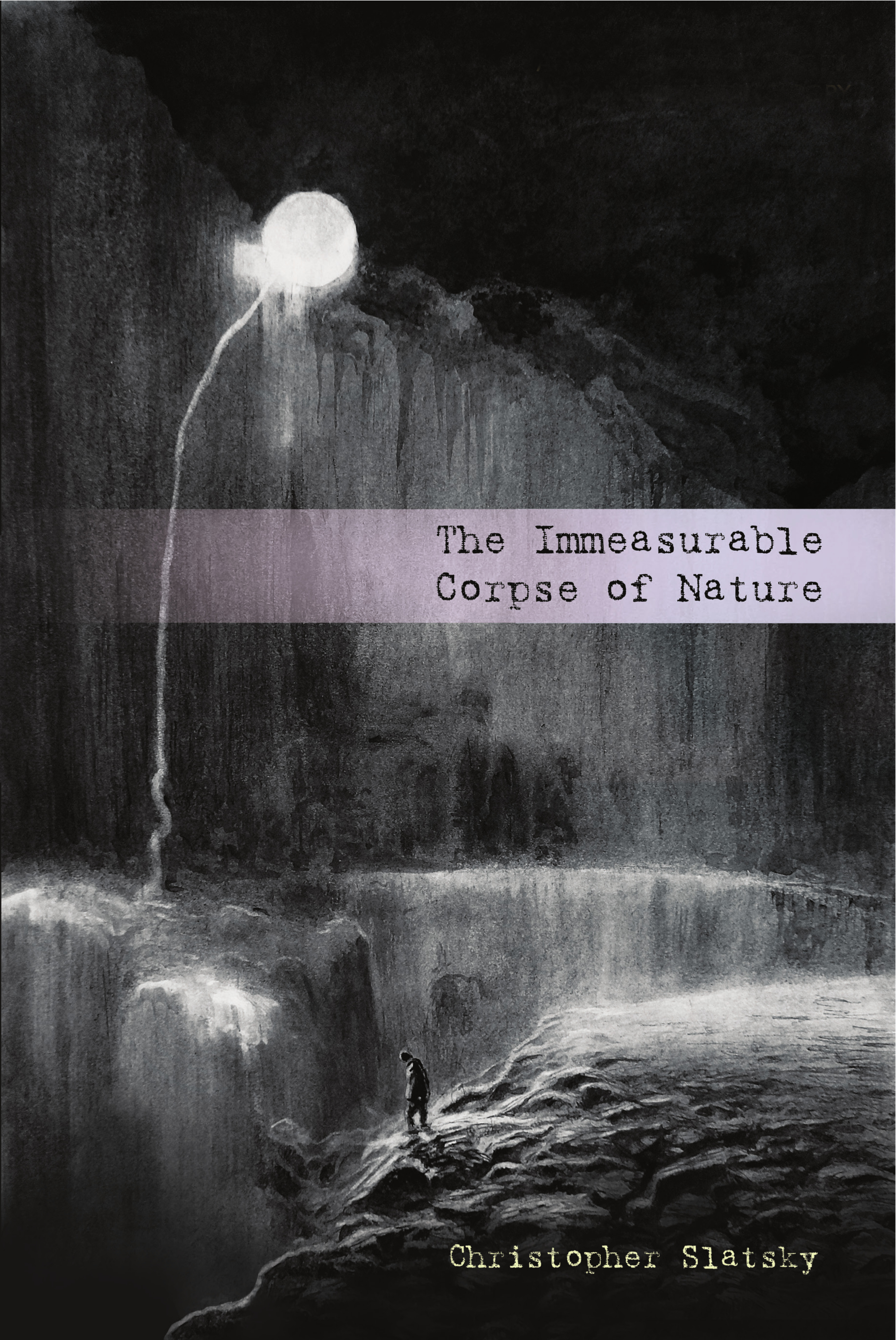 The Immeasurable Corpse of Nature (Paperback)
