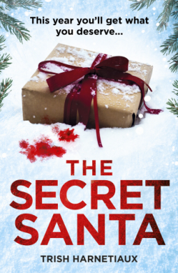 The Secret Santa (Paperback)