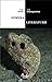 Himera literaturii: dialog ...