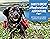 Saku's Great Newfoundland A...