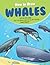 How to Draw Whales Step-by-Step Guide: Best Whale Drawing Book for You and Your Kids