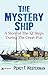 The Mystery Ship : A Story ...