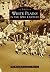 White Plains in the 20th Ce...