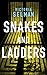 Snakes and Ladders (Ziba MacKenzie, #3)