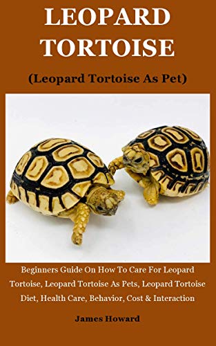 tortoise for beginners