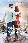 Winter in Wonderland Book cover for Winter in Wonderland