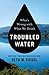 Troubled Water What's Wrong with What We Drink by Seth M. Siegel