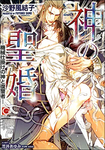 神の聖婚 機械仕掛けの神と復讐者 イラスト入り By 沙野風結子