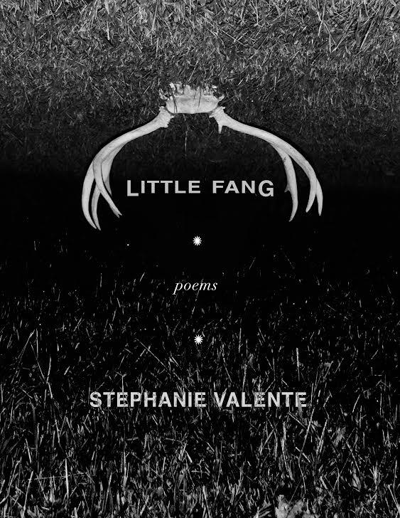 Little Fang (Paperback)