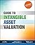Guide to Intangible Asset Valuation