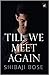 Till We Meet Again by Shibaji Bose