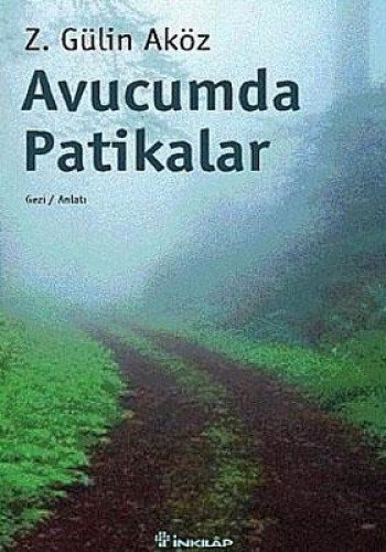 Avucumda Patikalar (Paperback)