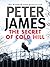 The Secret of Cold Hill (Cold Hill Ghost Stories Book 2)