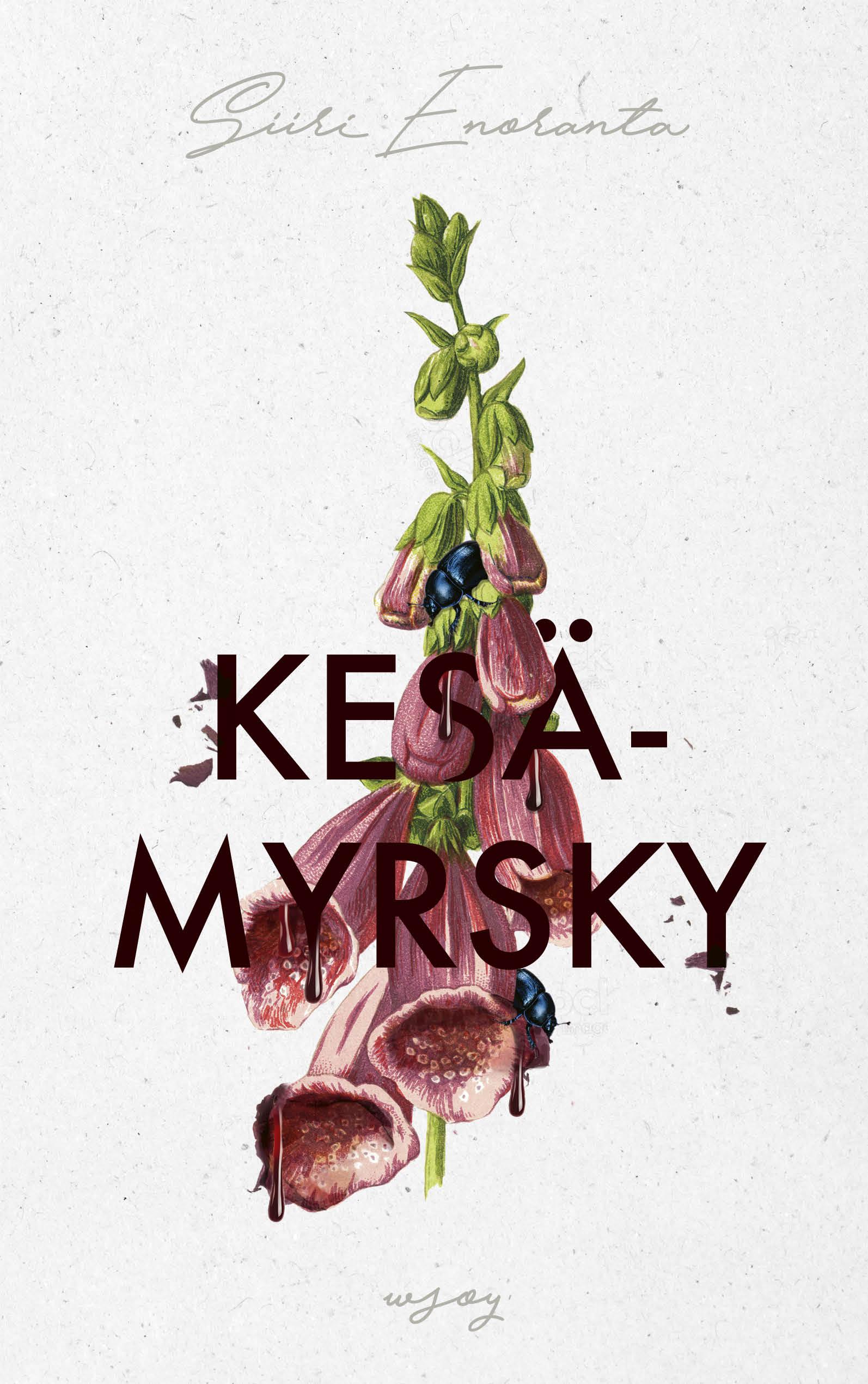 Kesämyrsky (Hardcover)