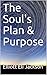 The Soul's Plan & Purpose